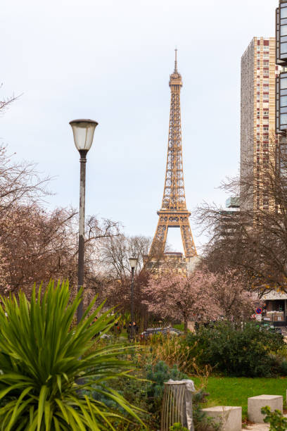 istock Then Eiffel in Paris in the park whit trees 1903757574