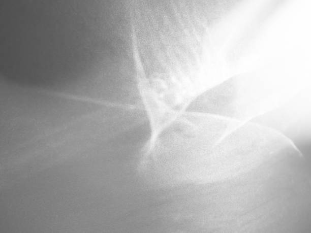 Shadow Background Effect Mockup Frame Abstract Technology Business Black Grey Shade Design blur Cement Wall Floor Minimal Empty Backdrop Overlay Light Nature Leaves Window White Template Summer.