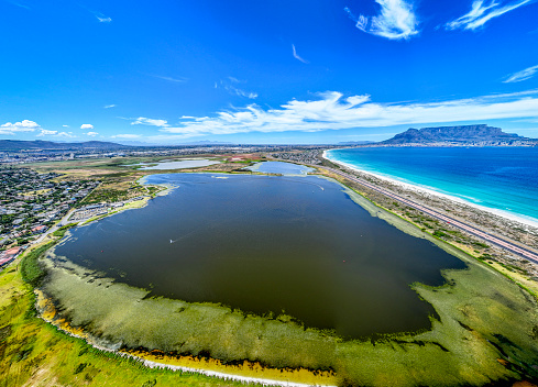 High view of encroaching pond weed in a Cape Town wetlands on the West Coast. Table Mountain in backdrop. Wetlands nature reserve in foreground.