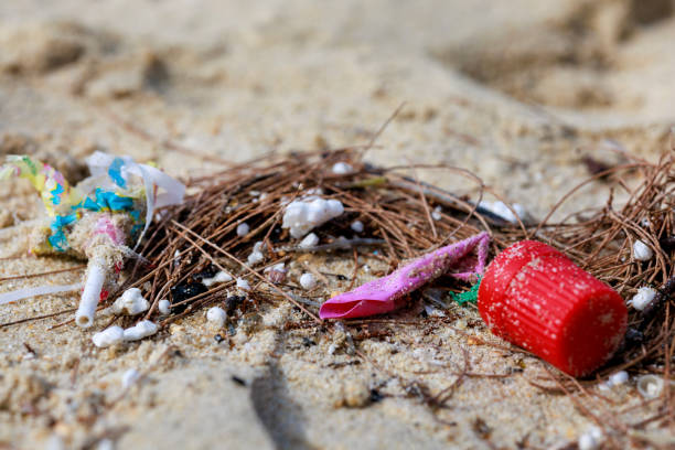 istock Small pieces of plastic pollution washed up on a beach highlights the ongoing issue of plastic pollution in marine environments 1903869370