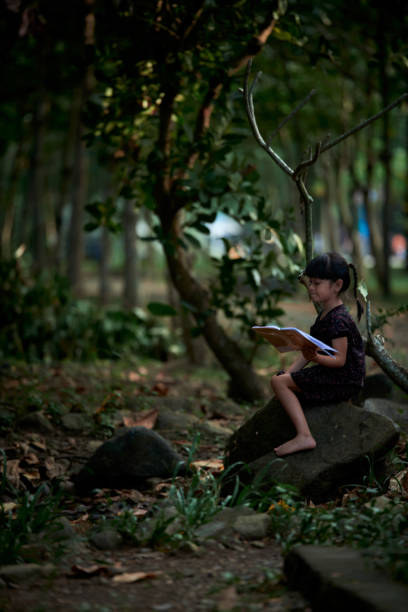 istock Little Child reading a book in a green coastal forest 1903887832