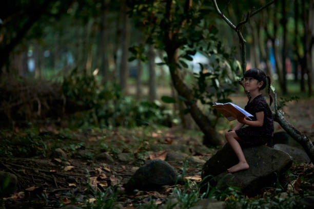 istock Little Child reading a book in a green coastal forest 1903889372