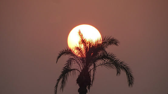 Sunset behind trees and grass in Pakistan, Dark sun set of an mysterious world.