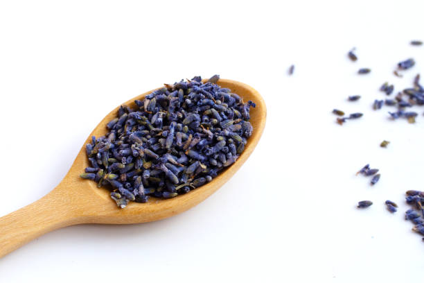 istock Dried lavender flowers on white background. 1903964364