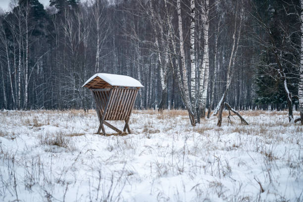 Animal feeder on the glade in the woods