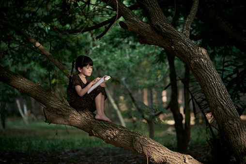 Adorable little girl sits and read a book in a tree at rainforest