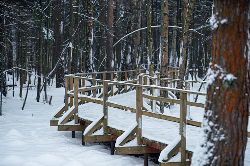 Snowy Forest Path Lined with a Wooden Fence on a Sunny Winter Day. Banff National Park, Alberta, Canada.