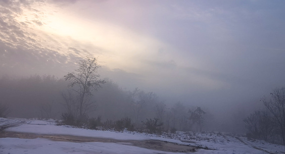 Winter landscape with strange fog