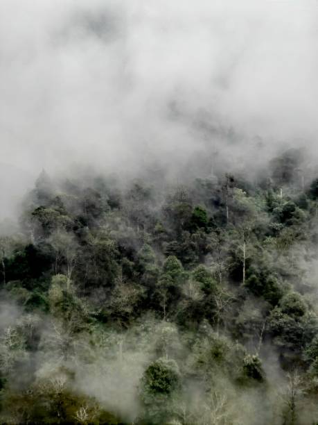 istock Mists at sunrise from the top of some mountains 1904024482