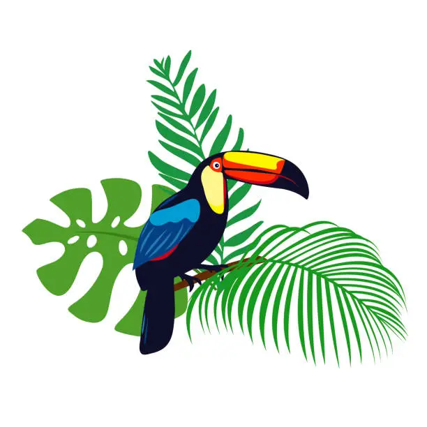Vector illustration of Bright toucan with leavesE