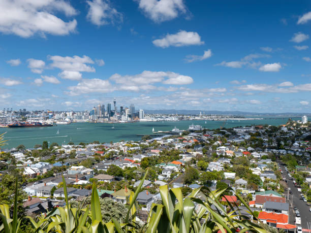 istock Central Auckland, New Zealand 1904047781