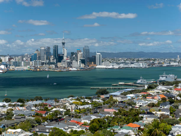 istock Central Auckland, New Zealand 1904048303