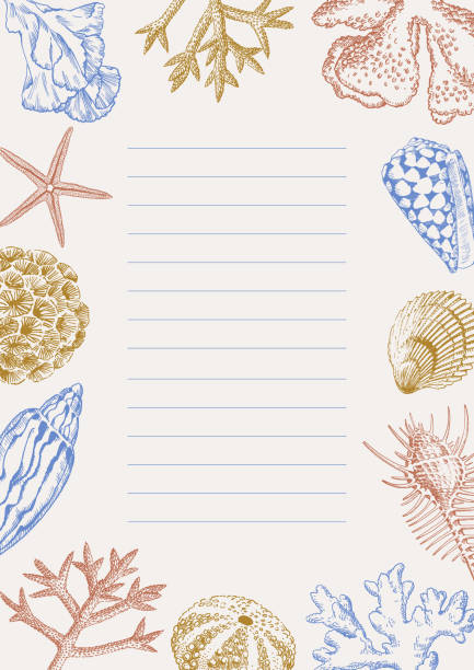 ilustrações de stock, clip art, desenhos animados e ícones de seashells note sheets template vertical - etching starfish engraving engraved image