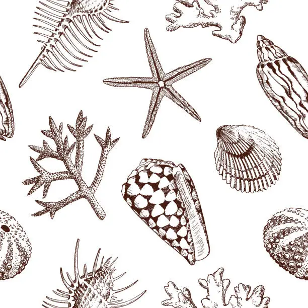 Vector illustration of Seashells seamless pattern