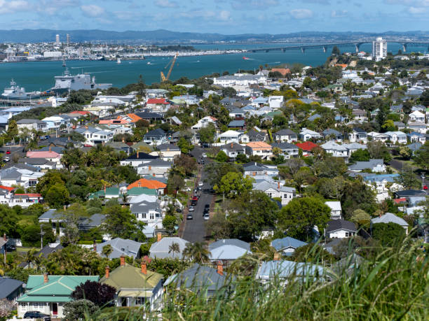 istock Central Auckland, New Zealand 1904050939