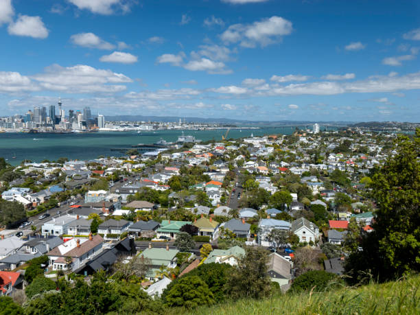 istock Central Auckland, New Zealand 1904051455