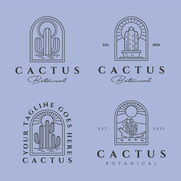 set of cactus logo vector line art symbol illustration design, cactus badge design