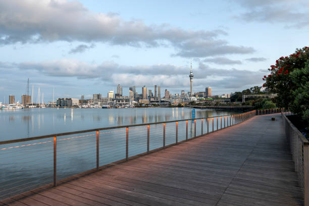 istock Central Auckland, New Zealand 1904062380