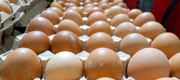istock The beauty of several chicken eggs in the container 1904071897