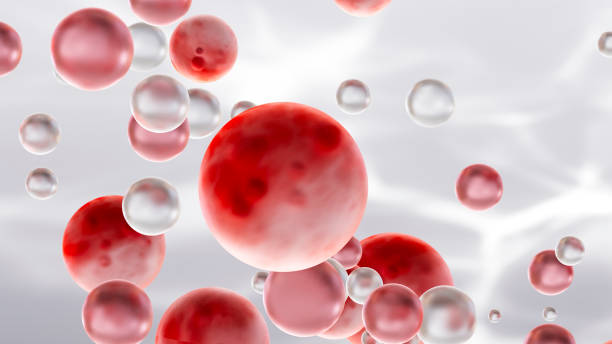 istock Flying red blood cells, molecules, biotechnology background 1904074137