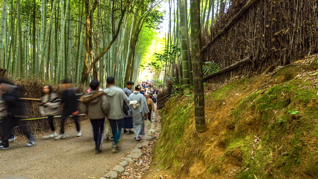 Time Lapse Arashiyama Bamboo Forest Tourists from all over the world come to enjoy nature winter autumn  Kyoto Prefecture Kansai Region JAPAN
