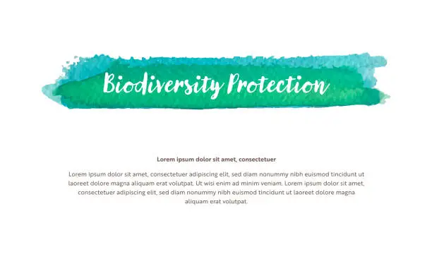 Vector illustration of A vector design template related to environmental issues. It includes a watercolor-brushed highlighted title with Biodiversity Protection written in the headline.