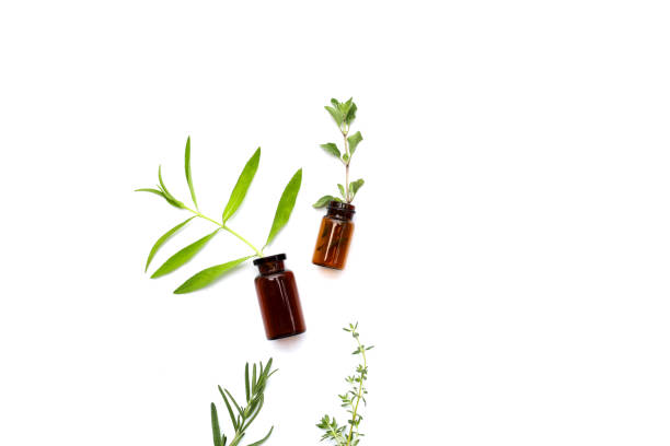 istock Fresh herbs with essential oil bottles on white background. 1904125810