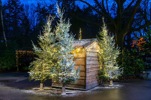 The charming view creates an incredible winter Christmas atmosphere. A large fluffy spruce tree and a wooden cabin, all covered with fluffy snow, and illuminated by bright light from garlands.