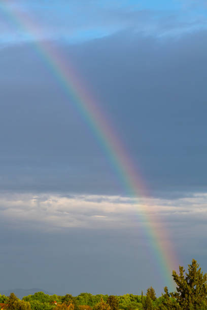 istock A rainbow and the tops of trees on an early Spring. 1904170542