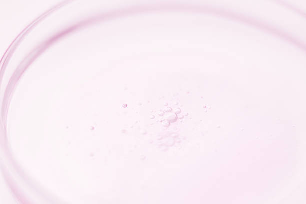 Petri dish with oil or light pink liquid with bubbles