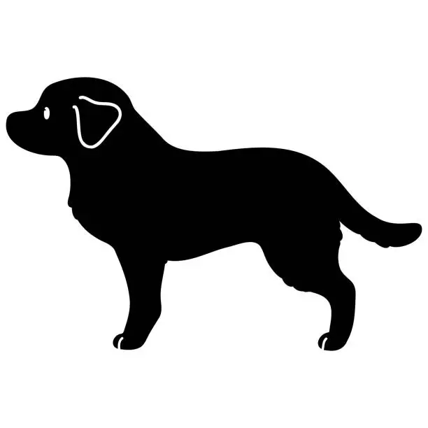 Vector illustration of Simple and cute silhouette of Labrador Retriever in side view with details
