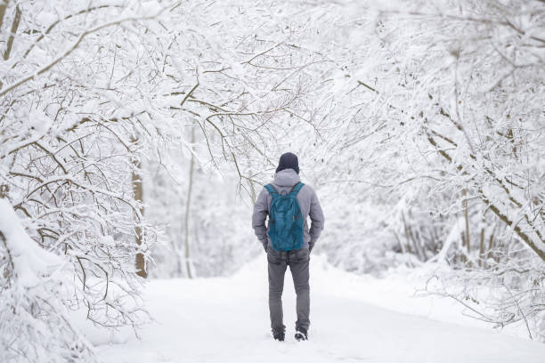 istock Young adult man with backpack walking on fresh white snow covered road through tree branches at park after blizzard in beautiful cold winter day. Spending time alone in nature. Back view. 1904190658