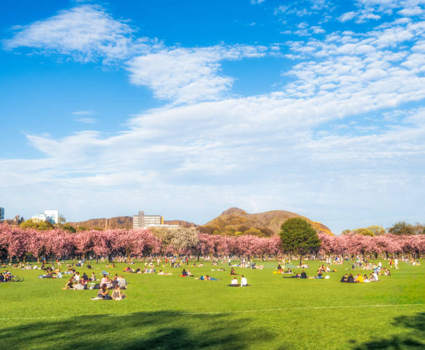 istock Sunny spring weather in The Meadows, Edinburgh 1904213974