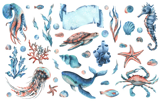Underwater world clipart with sea animals whale, turtle, octopus, seahorse, starfish, shells, coral and algae. Hand drawn watercolor illustration. Big set objects on a isolated background
