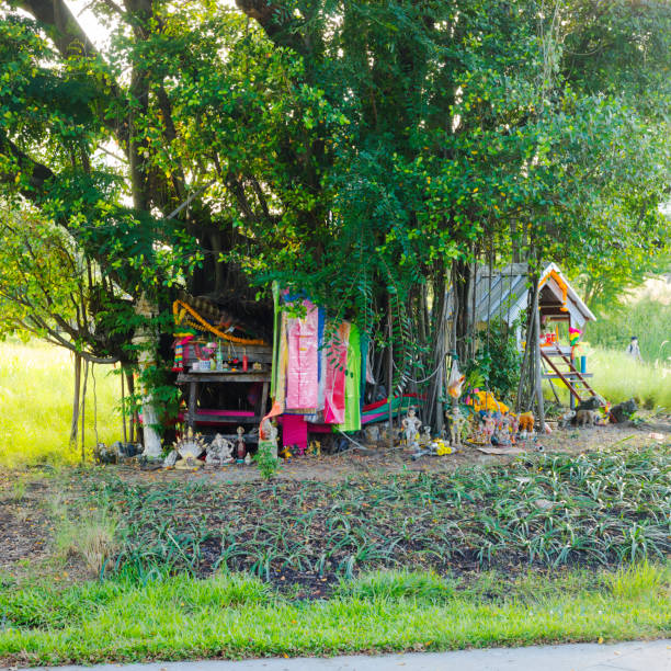 Thai fertility shrine around tree in Banjakitti Park Thai fertility shrine around tree in Banjakitti Park in Bangkok downtown. Tree is decorated with female clothes and several gifts true thailand classic stock pictures, royalty-free photos & images