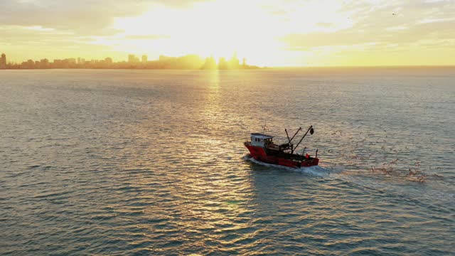 Fishing boat catching fish at sunset aerial view from drone. Small fishing trawler ship goes to city harbor