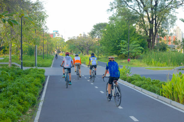 Rear view of cycling thai men on bicycle lane in Benjakitti Park in Bangkok. Men are wearing sports clothes and cycling helmets. Scene is on big cycling lane is western area of park