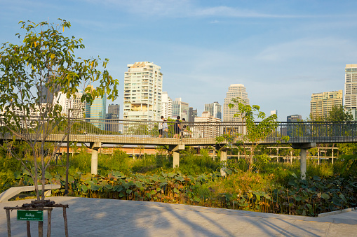 Thai people on footbridge and walkway in Benjakitti Park of Bangkok seen from lower area. Footbridge is passing over park. One person is sitting in wheelchair.  In background is skyline south of Sukhumvcit Road.