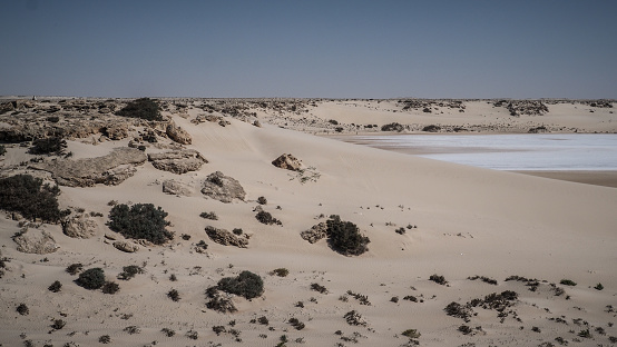 Western Sahara is the second most sparsely populated country in the world and the most sparsely populated in Africa, mainly consisting of desert flatlands.