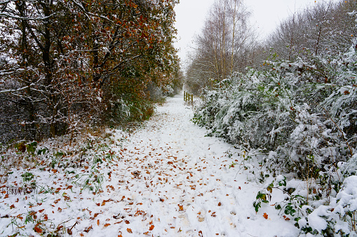 Footprints and fallen leaves lay in the snow covering an old abandoned railway.