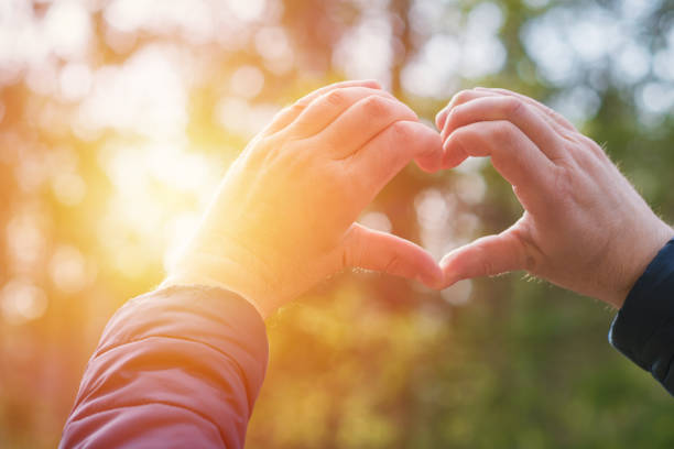 istock Heart with hands outdoors on sunny day at forest, closeup 1904436201