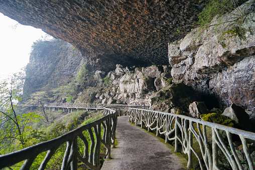 Swallow Cave is named after the Himalayan swiftlets that live in it. Jinfo Mountain karst topography, biodiversity and Buddhist culture, Chongging.