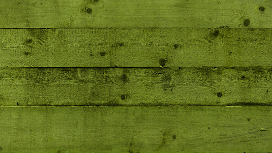 Abstract grunge old dark green painted wooden texture - wood background banner