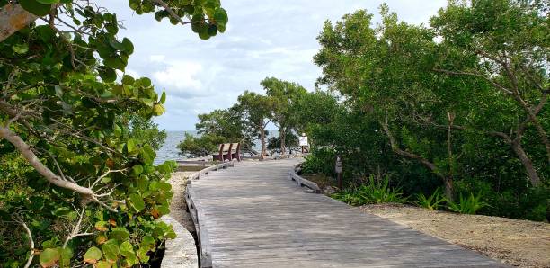 istock Biscayne National Park Florida 1904507867