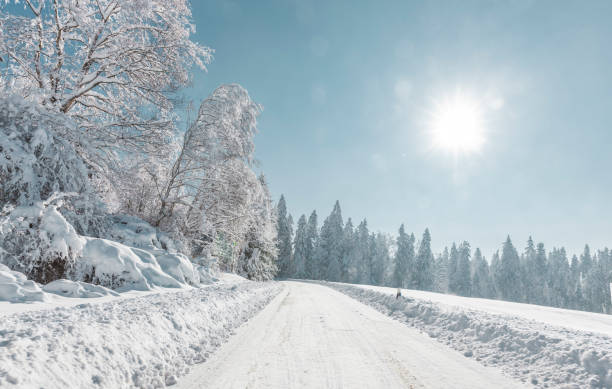 Road in a snowy winter landscape