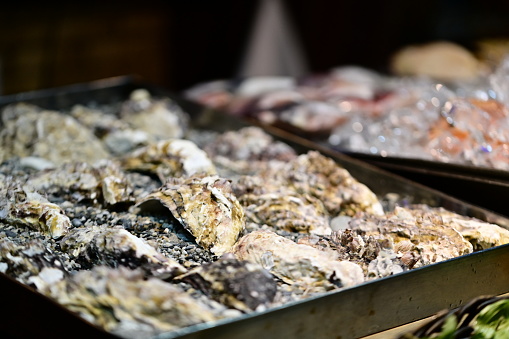 Fresh oysters displayed on a shelf for sale, inviting seafood lovers.
