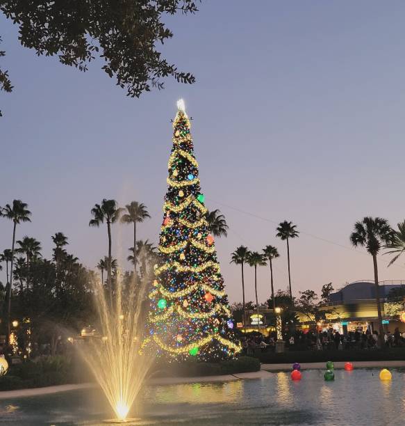 istock Christmas at the Park 1904521622