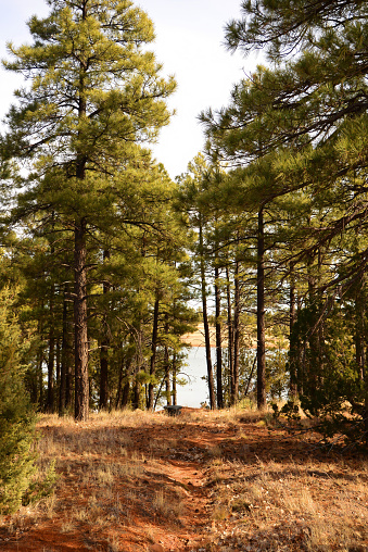 Fool Hollow lake in the white mountains of Arizona