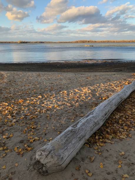 istock Autumn on the lake 1904552040