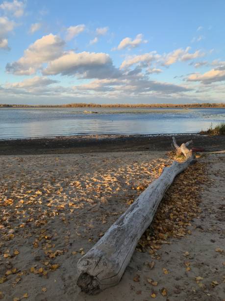 istock Autumn on the lake 1904552099